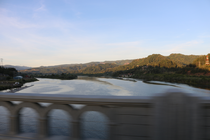 Illustration for article titled Oregon road trip first photodump